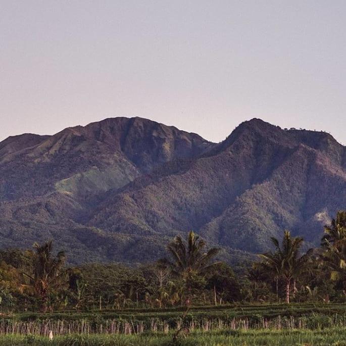 Tetebatu Mountain View Homestay Eksteriør bilde