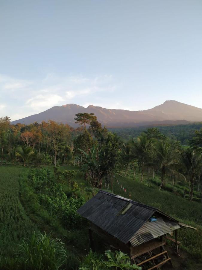 Tetebatu Mountain View Homestay Eksteriør bilde
