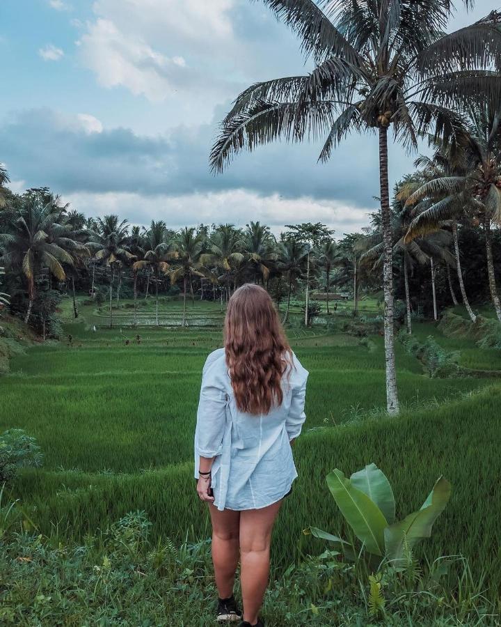 Tetebatu Mountain View Homestay Eksteriør bilde