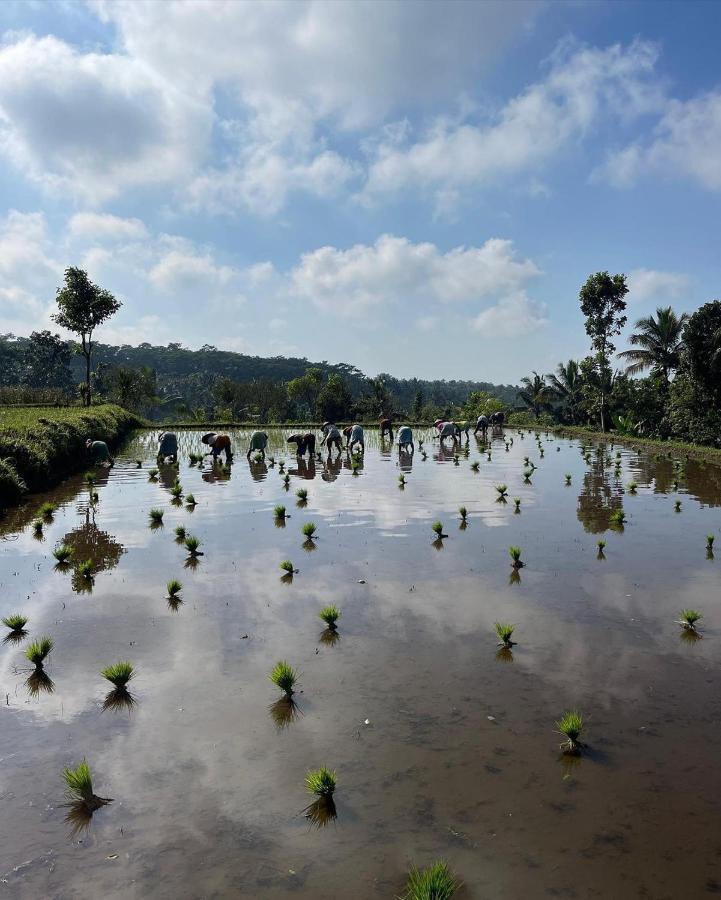 Tetebatu Mountain View Homestay Eksteriør bilde