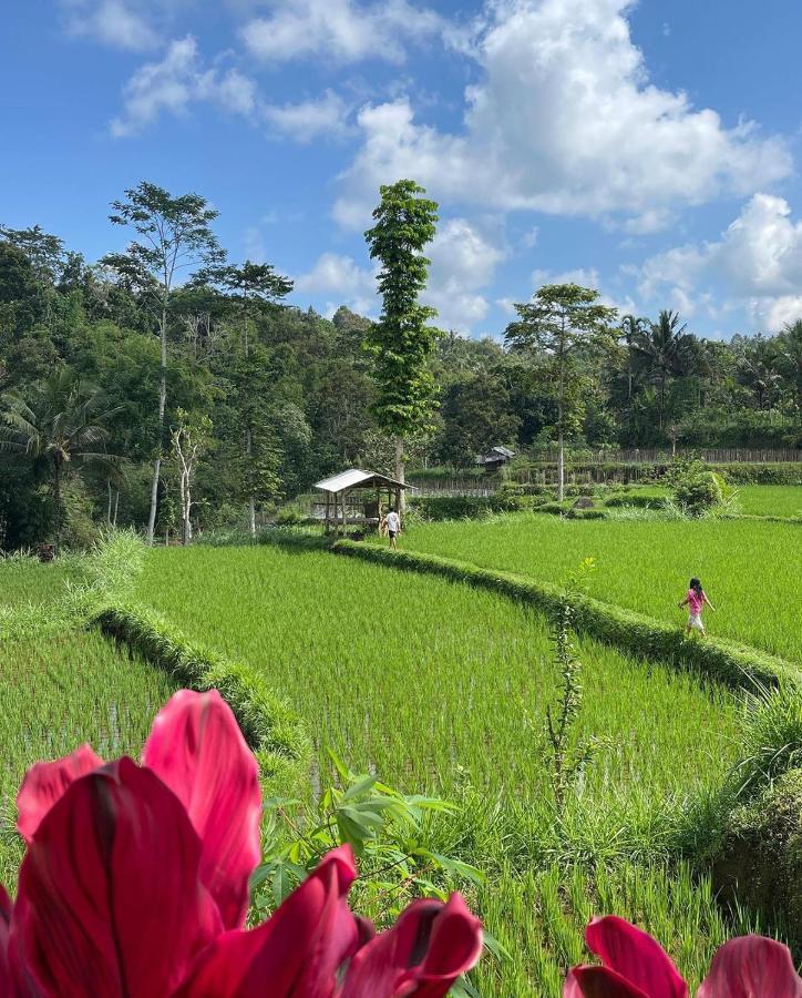 Tetebatu Mountain View Homestay Eksteriør bilde