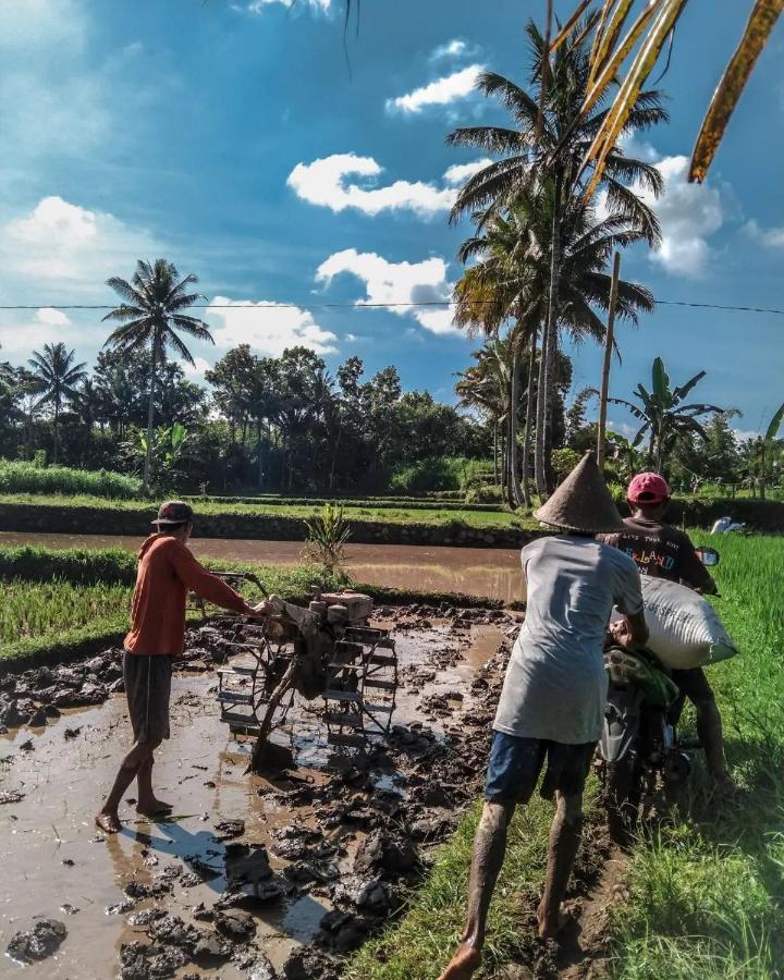 Tetebatu Mountain View Homestay Eksteriør bilde