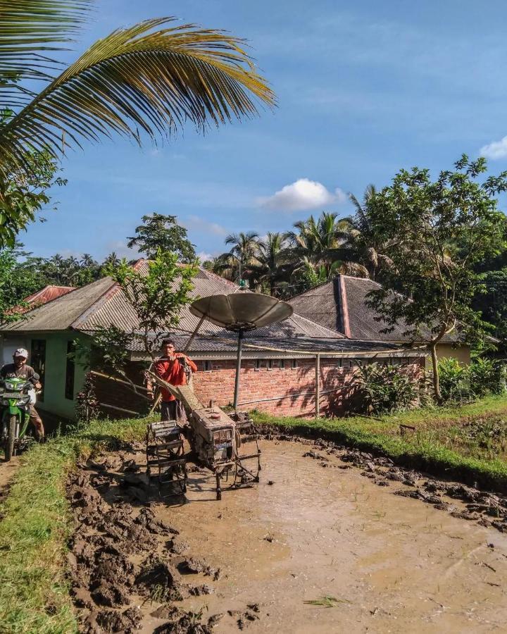Tetebatu Mountain View Homestay Eksteriør bilde