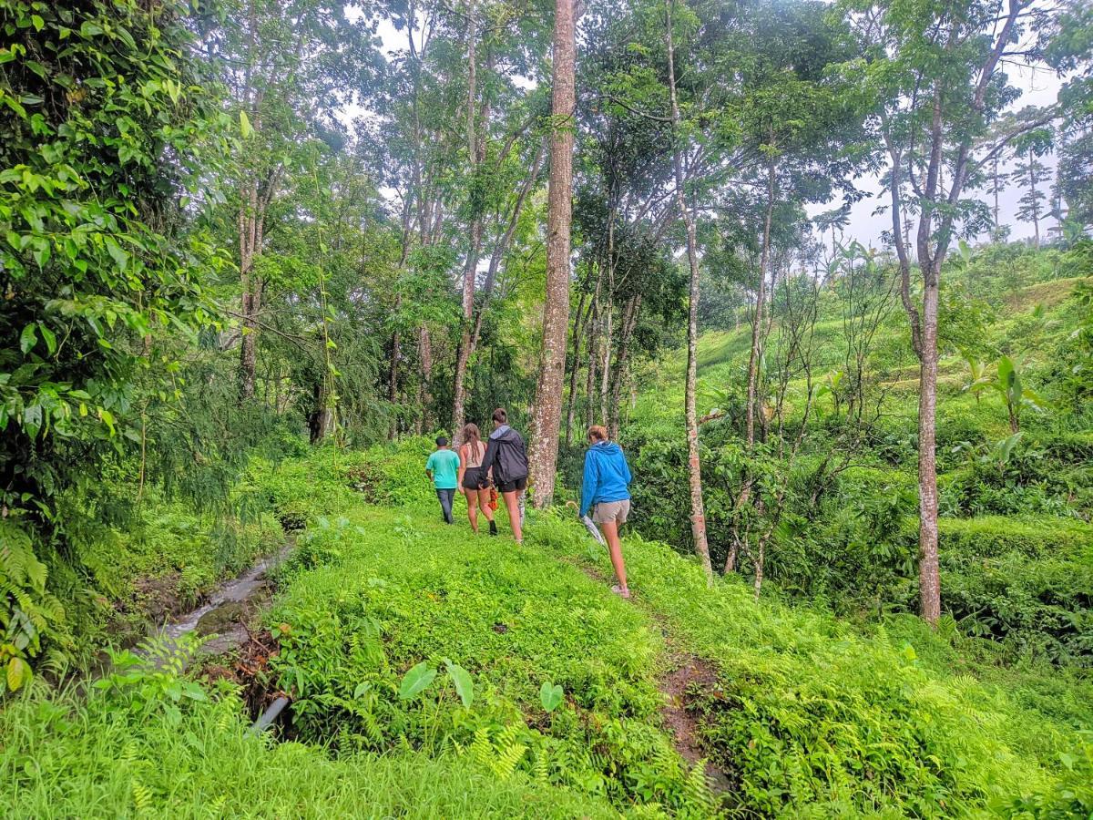 Tetebatu Mountain View Homestay Eksteriør bilde