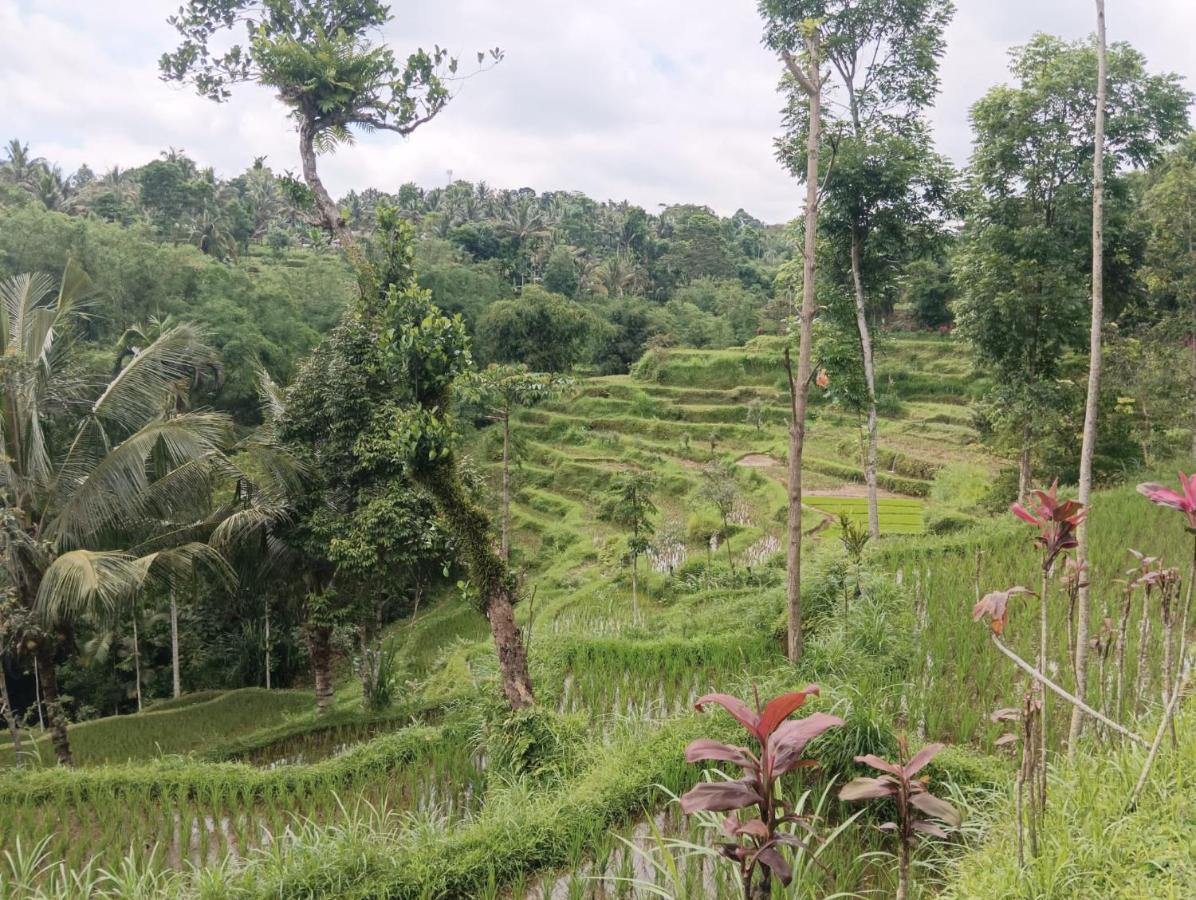 Tetebatu Mountain View Homestay Eksteriør bilde