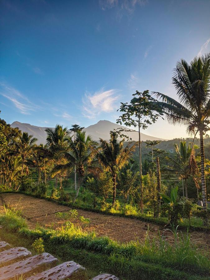 Tetebatu Mountain View Homestay Eksteriør bilde