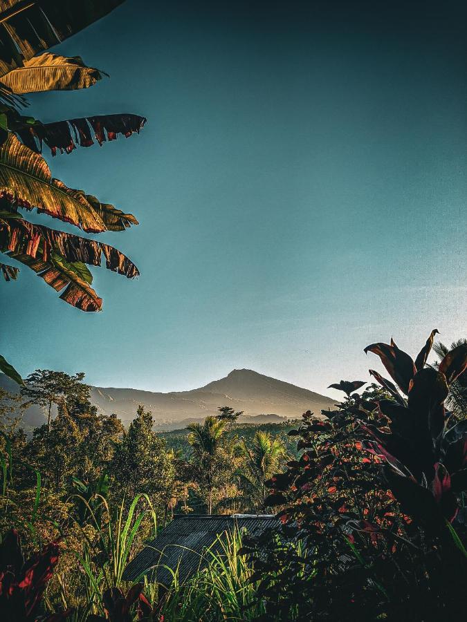 Tetebatu Mountain View Homestay Eksteriør bilde