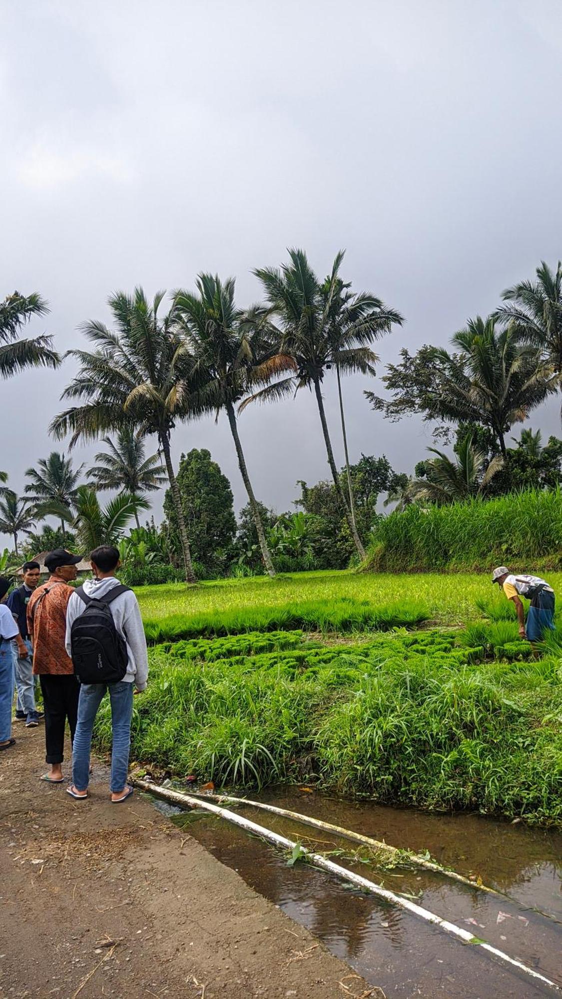 Tetebatu Mountain View Homestay Eksteriør bilde