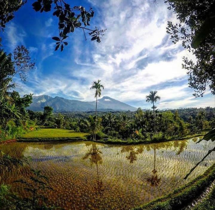 Tetebatu Mountain View Homestay Rom bilde