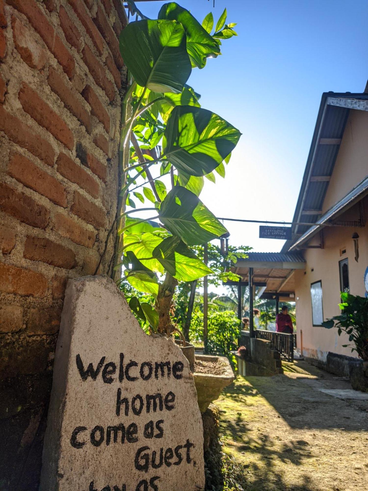 Tetebatu Mountain View Homestay Rom bilde